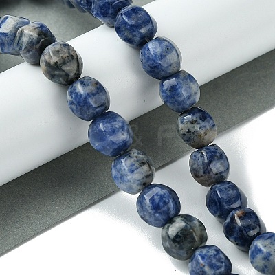 Natural Blue Spot Jasper Beads Strands G-H023-A07-01-1