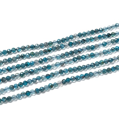 Natural Apatite Beads Strands LS-G-K185-02-1
