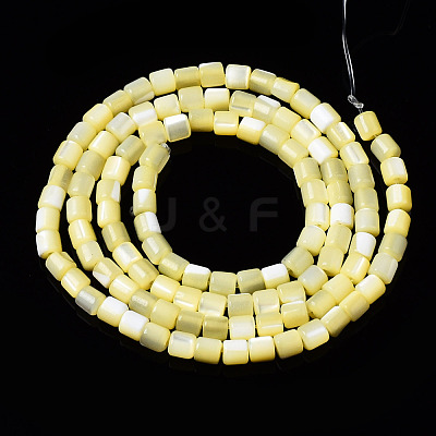Natural Trochid Shell/Trochus Shell Bead Strands SSHEL-N034-77-C06-1
