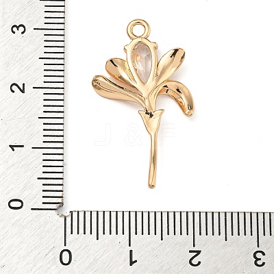 Brass Micro Pave Clear Cubic Zirconia Pendants ZIRC-U003-01G-04-1