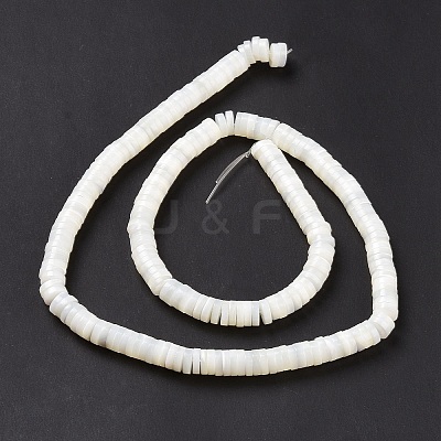 Natural Trochid Shell/Trochus Shell Beads Strands X-SSHEL-L016-13E-1
