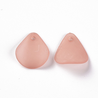 Transparent Frosted Acrylic Pendants MACR-S371-09A-763-1
