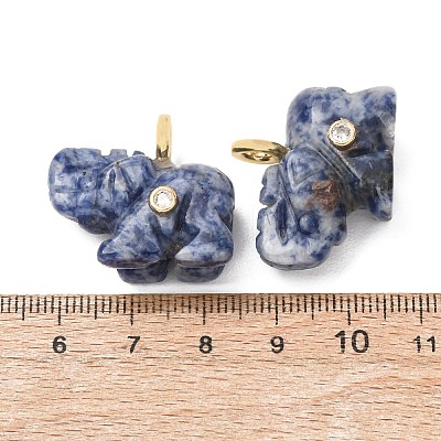 Natural Blue Spot Jasper Carved Pendants G-H357-01G-10-1