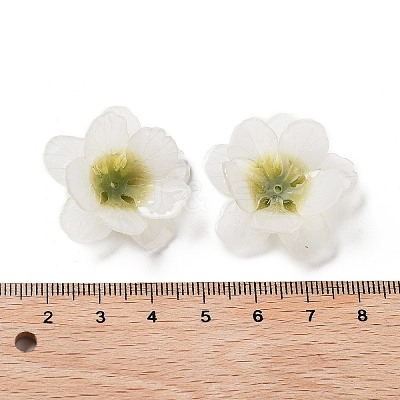 Opaque Acrylic Bead Cap SACR-C006-02C-1