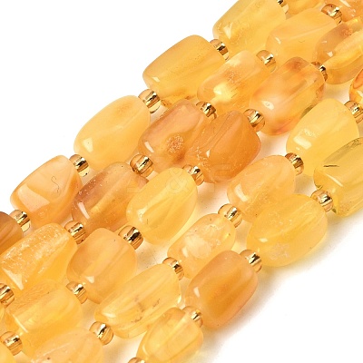 Natural Amber Beads Strands G-K376-G02-02-1
