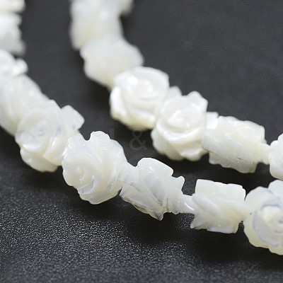 Natural White Shell Beads Strands SSHEL-P015-01A-8mm-1