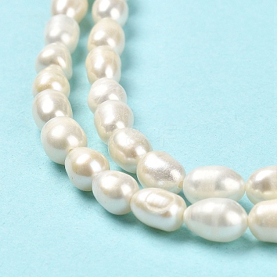 Natural Cultured Freshwater Pearl Beads Strands PEAR-E016-169-1