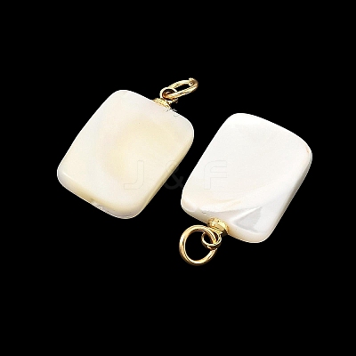 Natural Trochid Shell/Trochus Shell Pendans PALLOY-JF05925-1