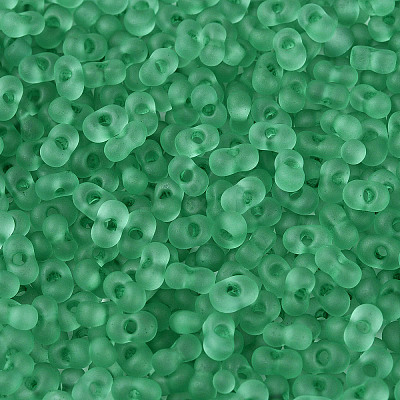 FGB Frosted Transparent Glass Seed Beads SEED-N013-06A-09-1