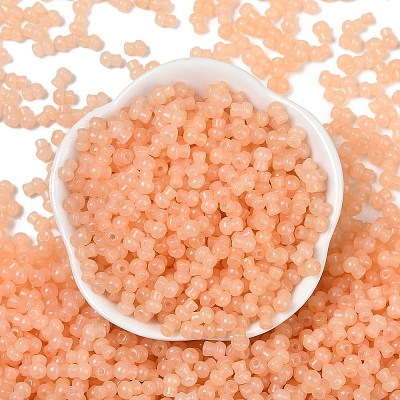 Transparent Colours Glass Seed Beads SEED-R001-01G-1