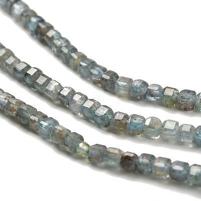 Natural Apatite Beads Strands G-B107-C01-01-1