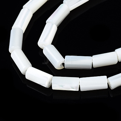 Natural Trochid Shell/Trochus Shell Beads Strands SSHEL-S266-020A-02-1