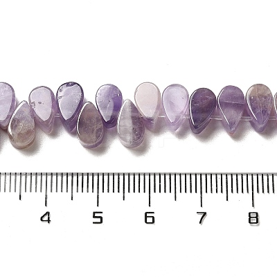 Natural Amethyst Beads Strands G-B064-B01-1