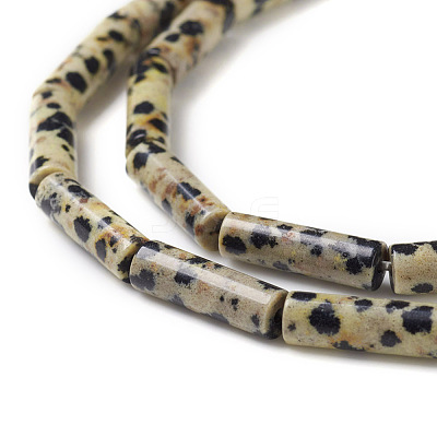 Natural Dalmatian Jasper Beads Strands X-G-F247-21-1