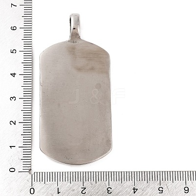 316 Surgical Stainless Steel Big Pendants STAS-Z073-56AS-03-1