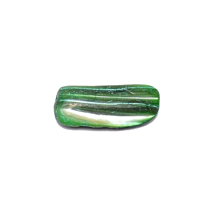 Natural Shell Beads BSHE-WH0001-06-1