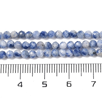 Natural Blue Spot Jasper Beads Strands G-A252-A02-02-1