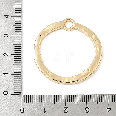 Alloy Pendants PALLOY-F316-01B-G-1