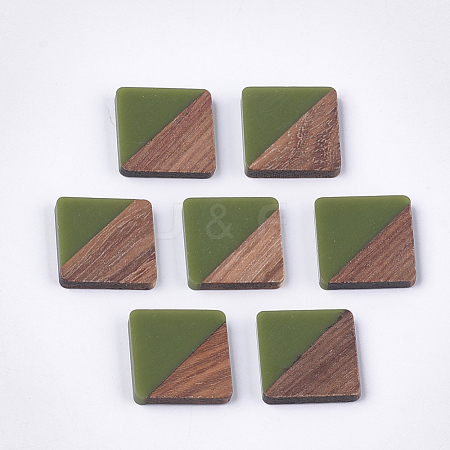 Resin & Walnut Wood Cabochons RESI-S358-A-90C-1