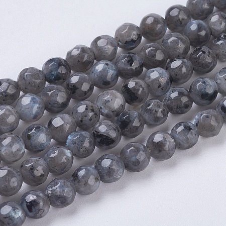 Natural Larvikite Beads Strands G-G545-14-1