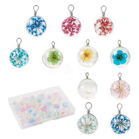 Craftdady 30pcs 15 colors Transparent Glass Pendants GLAA-CD0001-07-1