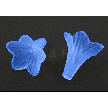 Transparent Frosted Acrylic Flower Beads X-PL631-3-1-1