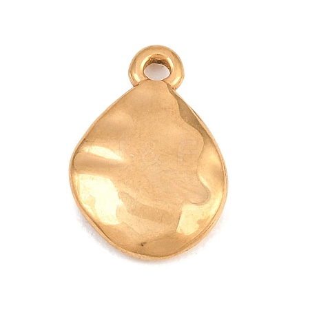 304 Stainless Steel Pendants STAS-B144-03G-1