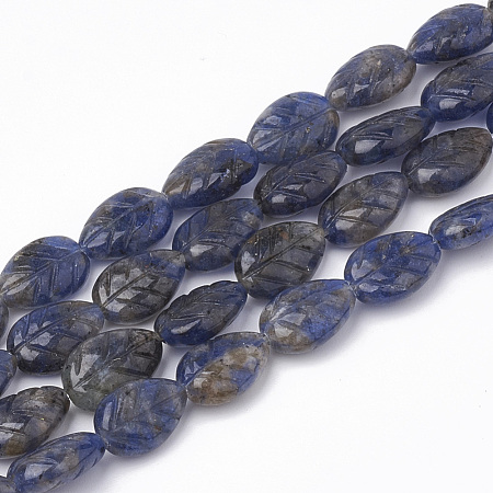 Natural Sodalite Beads Strands X-G-T098-08A-1