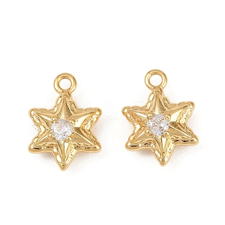 Ocean Theme Brass Micro Pave Cubic Zirconia Charms X1-KK-F902-08G-G-1