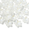 30Pcs Electroplate Transparent Glass Beads GLAA-YW0005-02A-1