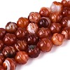 Dyed Natural Agate Beads Strands G-T144-27C-4
