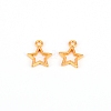 Alloy Charms PALLOY-CD0001-02G-2