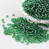 Round Glass Seed Beads X-SEED-A006-3mm-107B-1