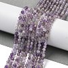 Natural Amethyst Beads Strands G-G189-D22-02-2