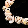 Natural Sea Shell Beads Strands BSHE-E026-14-6