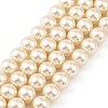 Preciosa® MAXIMA Crystal Nacre Pearls X-PRC-NPA10-77500-2
