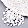 2-Hole Glass Seed Beads SEED-S031-L-ST41-R-1