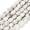 Natural Howlite Beads Strands G-F781-A03-01-1