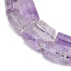 Natural Amethyst Beads Strands G-G162-D04-01-4