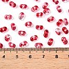 Spray Painted Glass Seed Beads SEED-T007-08E-4