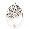 Tibetan Style Alloy Pendants LS-TIBEP-Q064-07AS-NR-1