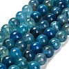 Dyed Natural Agate Beads Strands G-G203-10I-12mm-2
