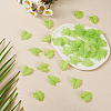 50G Frosted Acrylic Pendants FACR-TADJ0001-01B-4