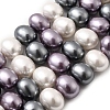Shell Pearl Beads Strands BSHE-F013-01K-1
