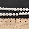 Electroplated Shell Pearl Beads Strands BSHE-K017-6mm-4