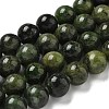 Natural Green Diopside Beads Strands G-K382-B01-03-1