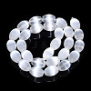 Dyed Natural Selenite Beads Strands G-T138-232A-2