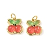 Brass Resin Charms KK-C110-24D-G-1