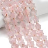 Natural Rose Quartz Beads Strands G-L657-A06-01-1