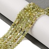 Natural Green Garnet Beads Strands G-A235-A02-02-2